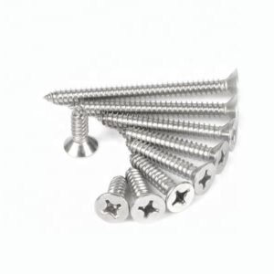Stainless Steel Self-tapping Wood Screw A2 Fasteners