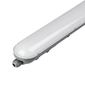 50W Quotation Ceiling Lights