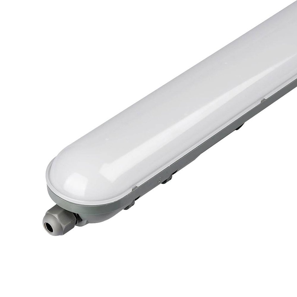 50W Quotation Ceiling Lights