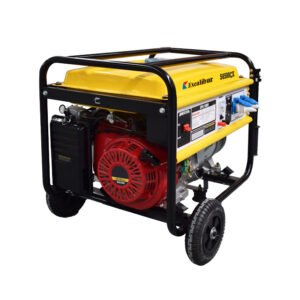 Portable Electric Power Generator